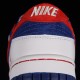 Authentic Nike SB Dunk Low Qatar World Cup Theme Nike SB Low Top Sports Casual Shoes FR2022-668